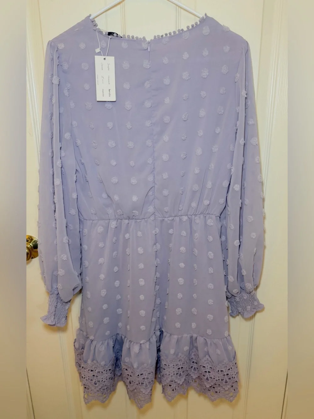 Simplee swiss dot guipure lace trim chiffon mini dress